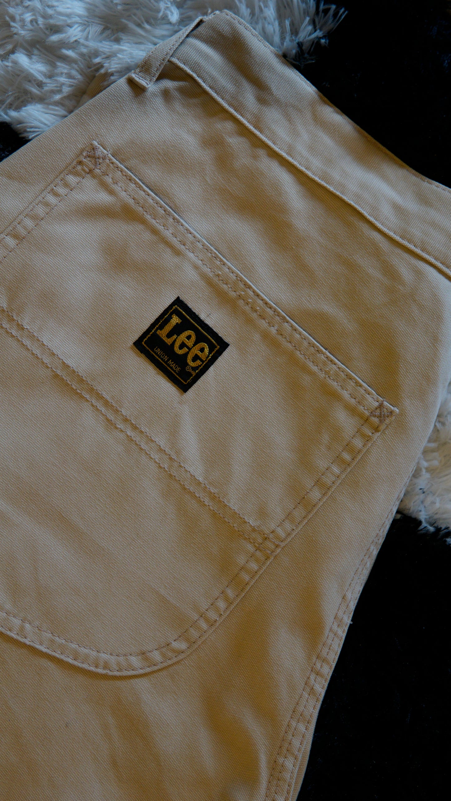 Pantalone Carpenter Lee