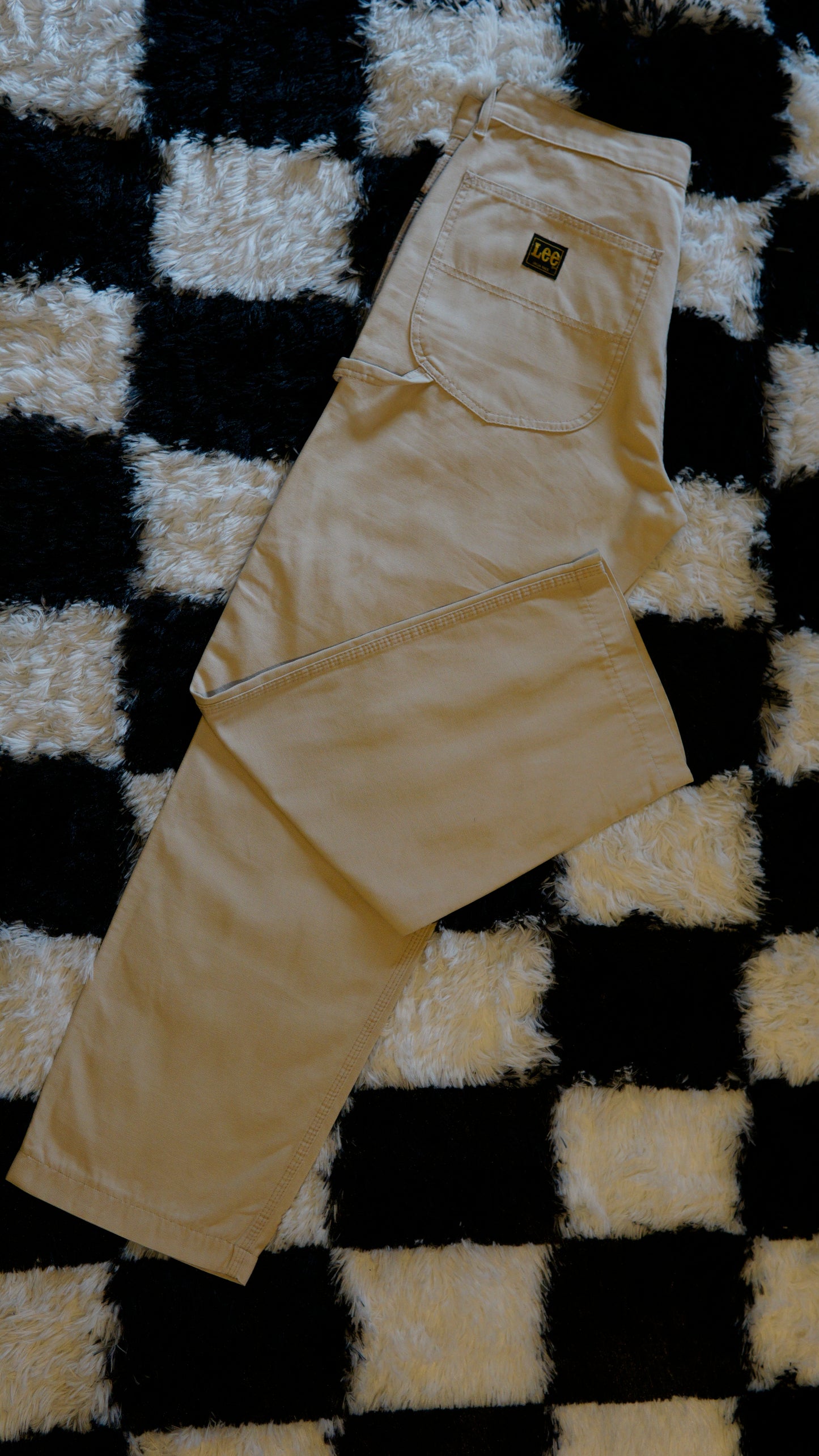Pantalone Carpenter Lee