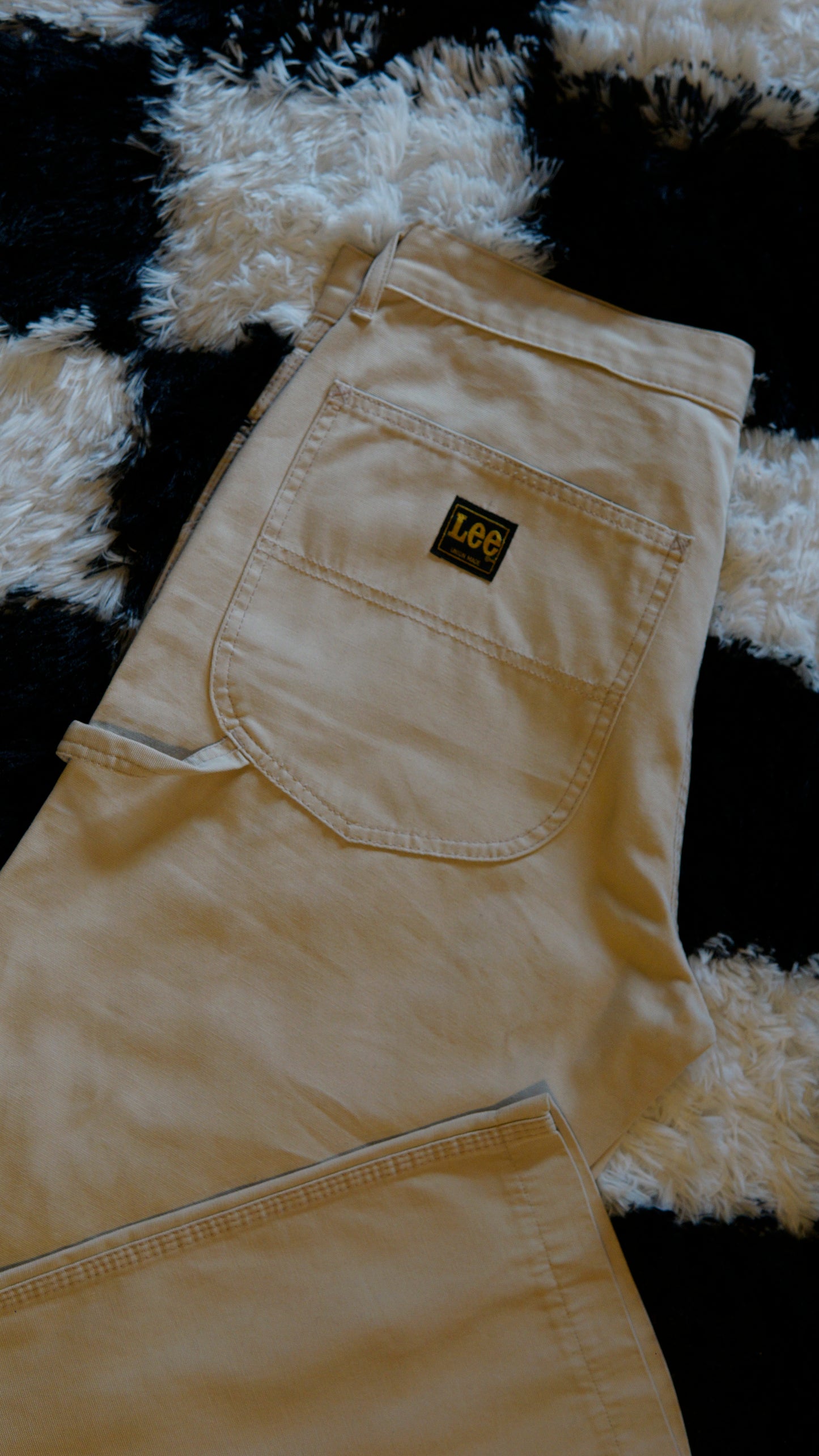Pantalone Carpenter Lee