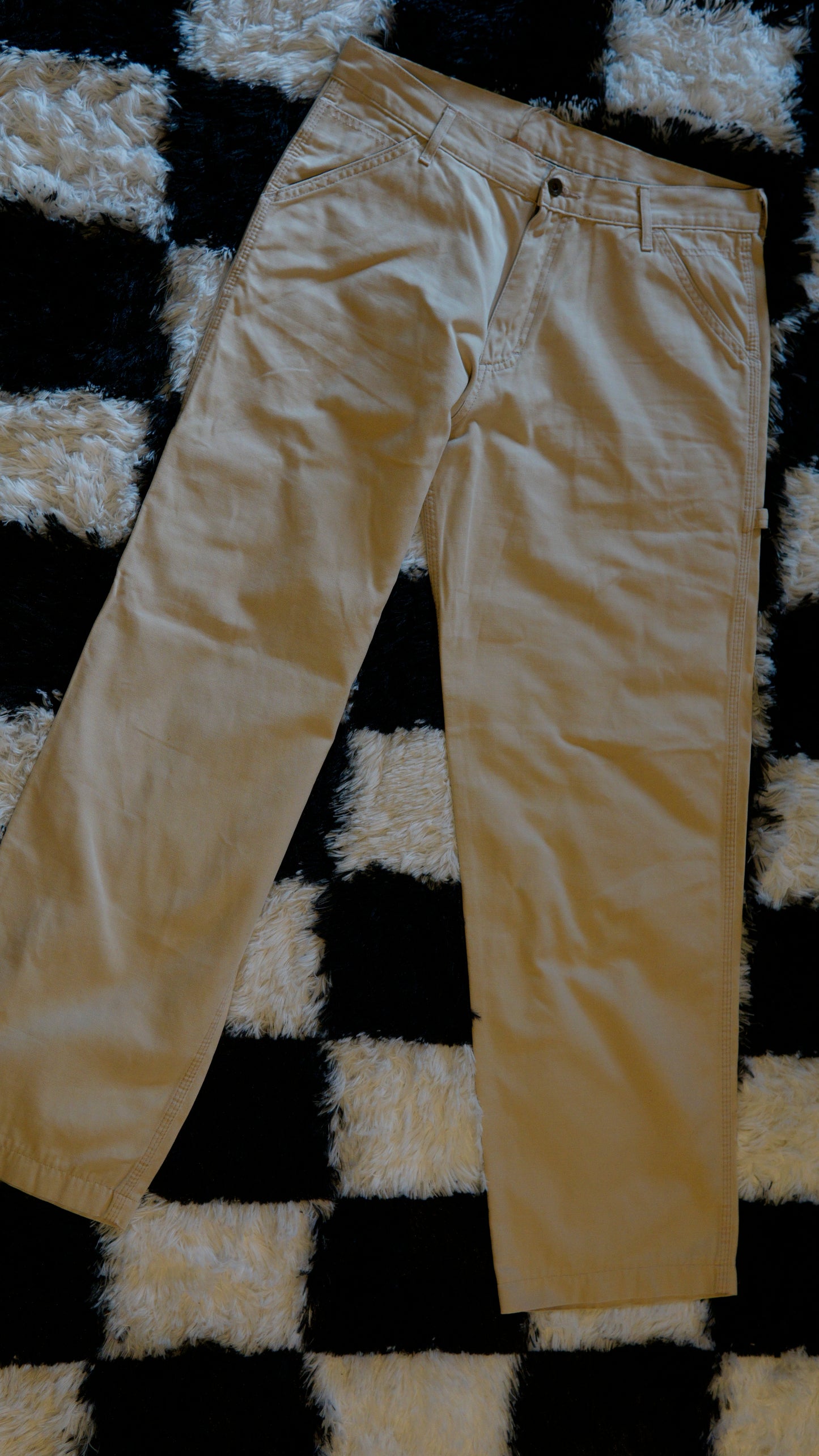 Pantalone Carpenter Lee