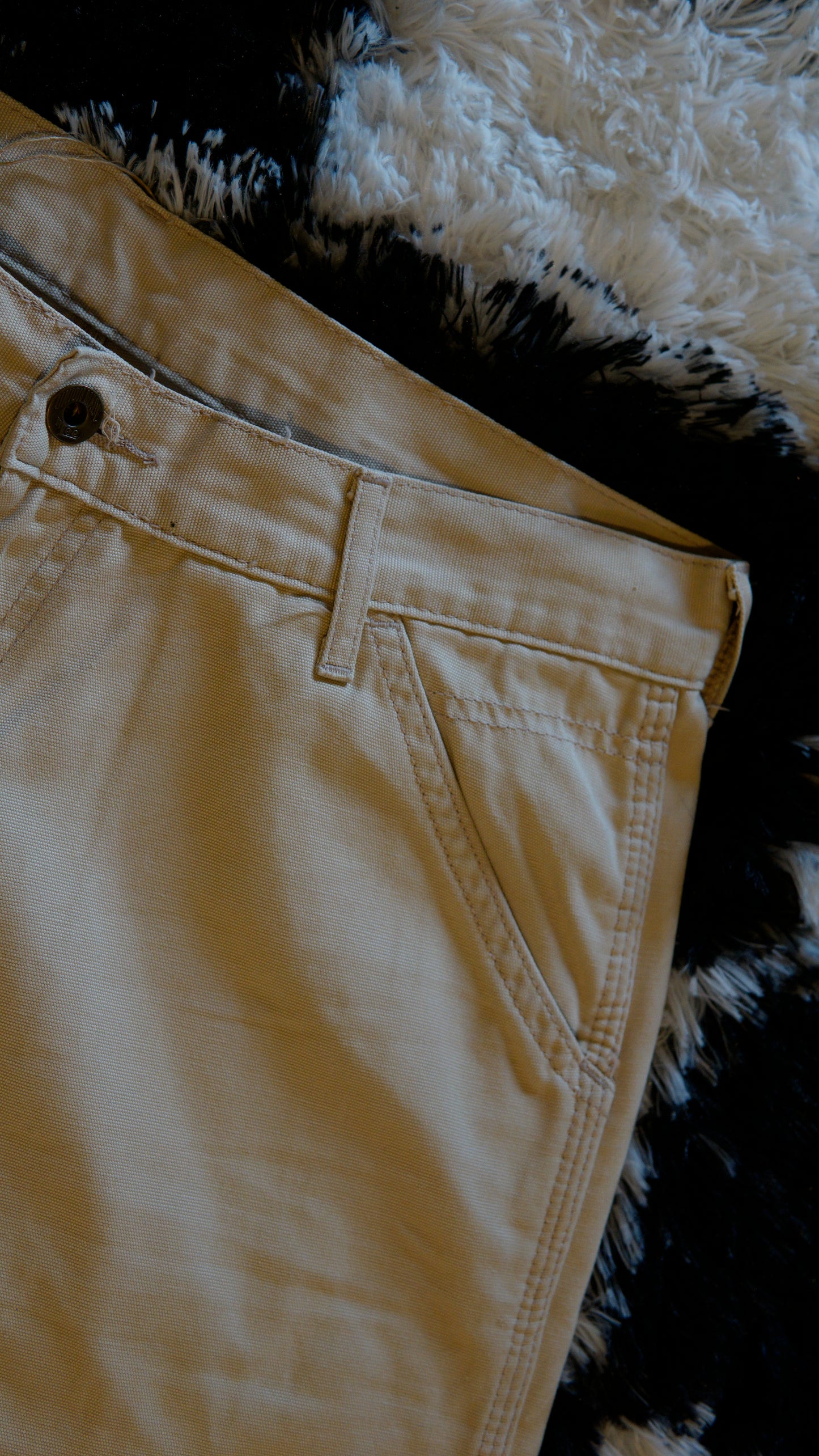 Pantalone Carpenter Lee